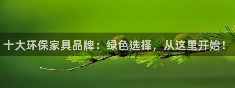 意昂5(KGAME)平台线路：十大环保家具品牌：绿色选择，从