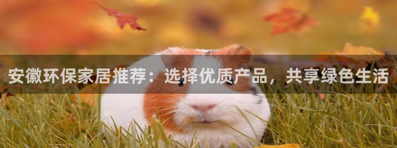 意昂5(KGAME)登陆电脑线路测速