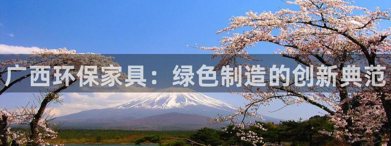 意昂5(KGAME)登陆：广西环保家具：绿色制造的创新典范