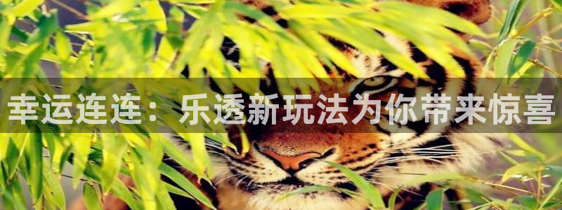 360体育免费直播