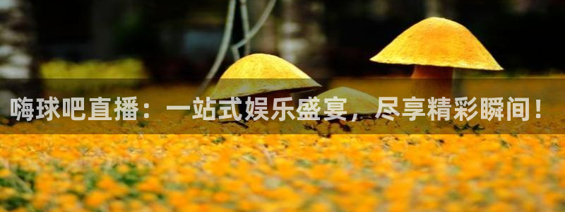 360雨燕直播篮球：嗨球吧直播：一站式娱乐盛宴，尽享精彩瞬间！