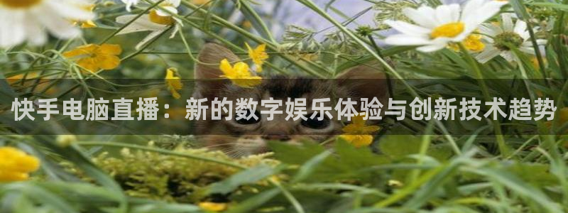 360直播无插件免费观看nba：快手电脑直播：新的数字娱乐体验与创新技术趋势