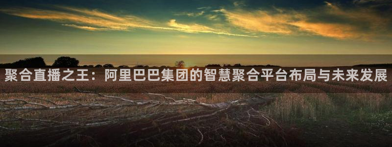 360体育赛事直播免费观看：聚合直播之王：阿里巴巴集团的智慧聚合平台布局与未来发展