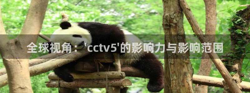 360足球直播雨燕：全球视角：\'cctv5\'的影响力与影响范围