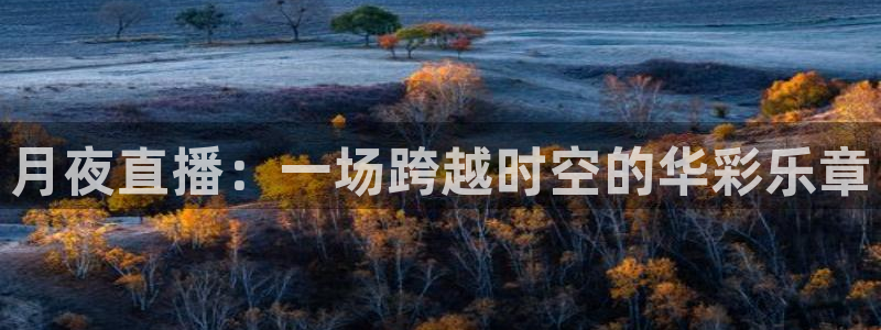 360乐球体育直播在线观看：月夜直播：一场跨越时空的华彩乐章