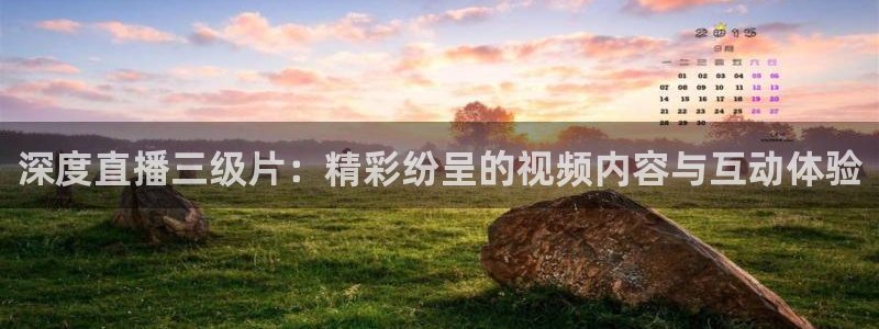 新闻图片