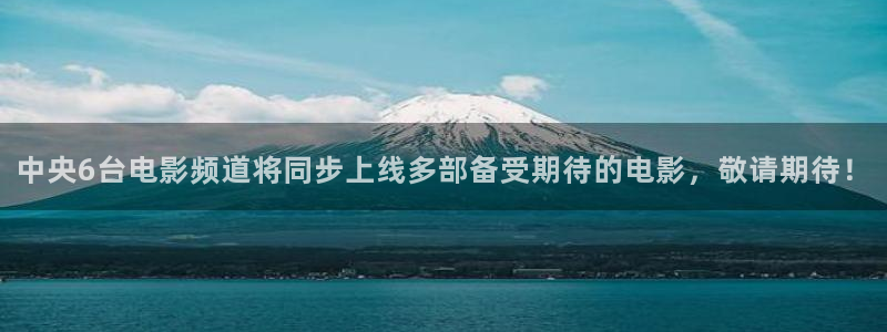 360足球直播雨燕