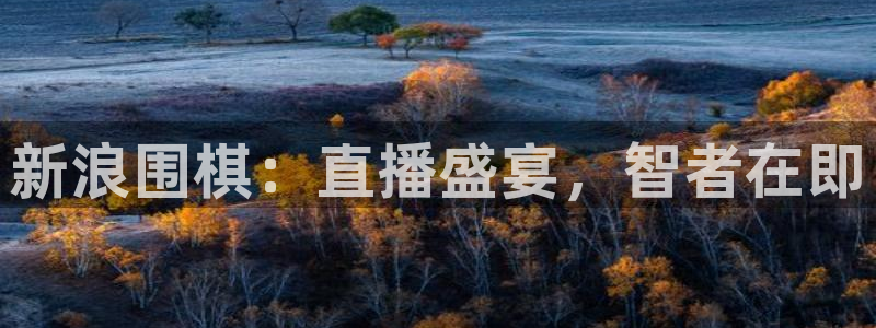 体育直播360